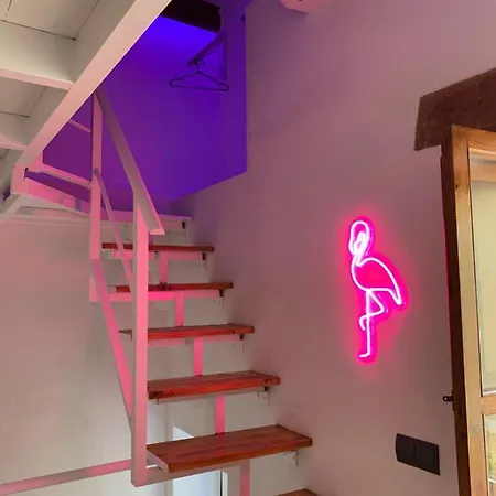 Casita Del Flamingo En Casco Historico Holiday home