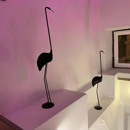 Casita Del Flamingo En Casco Historico *